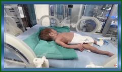 1011252.10.36 AM.jpeg